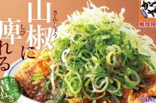 かつや 期間限定メニュー 感想